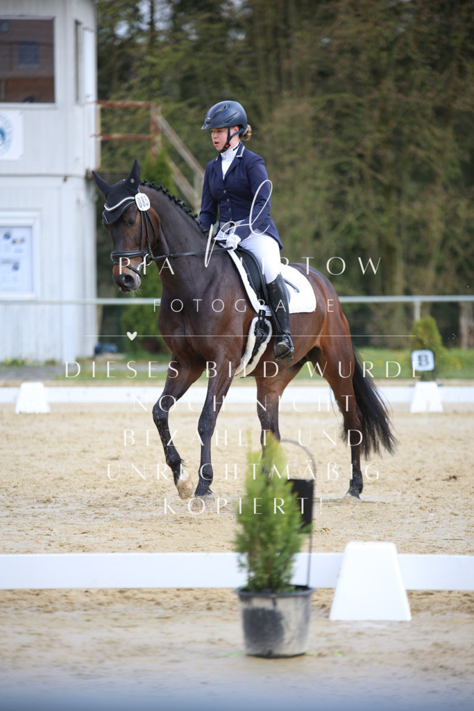 IMGT6076 | pl-fotografie