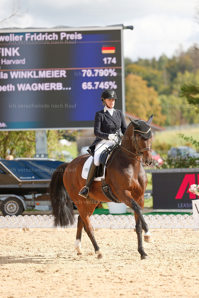 09_2-174-DRESSUR  S_  -StoibPH-5780 | working equitationturnier fotograf videograf stoibphotography marixx film working equitation deutschland reitsport turnierfotografie eventfotografie equestrian events