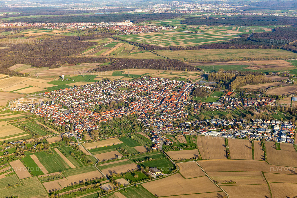 Luftbild: Ortsansicht von Westen im Ortsteil Liedolsheim in Dettenheim im Bundesland Baden-Württemberg in Deutschland. Foto: IMG_097970.jpg vom 30.03.2017 durch Werner Riehm/FLY-FOTO.de