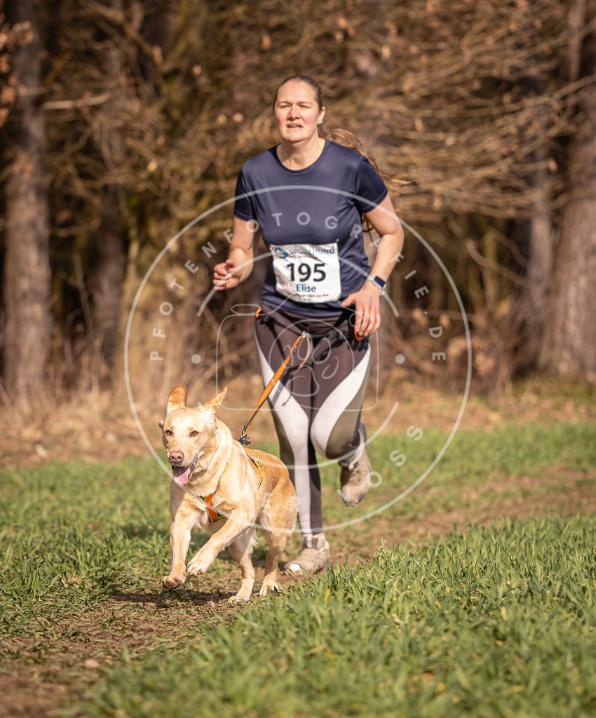 DV3A6250 | Hundefotografie, Tierfotograf, Pfotenfotografie, Fotoshooting Hund, Hunde Portrait, Hundesport, Hundeportraits, Heideshooting, Hunde, Sportfotograf, Hundefotograf, Turnierhundsport, THS,  - Realisiert mit Pictrs.com