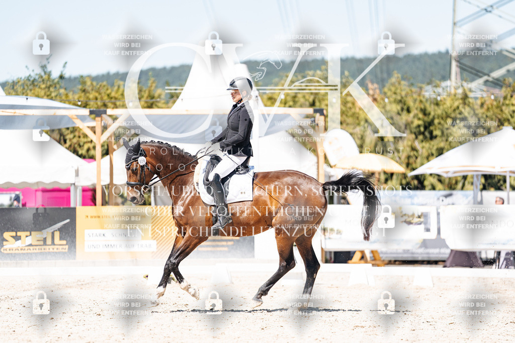 CK900398 | Turnierfotografie Pferdefotografie Trier Rheinland-Pfalz Pferdesport Reitsport Tierfotografie Sportfotografie Pferdevideo Pferdevideografie Equestrianvideography equestrianphotography  - Realisiert mit Pictrs.com