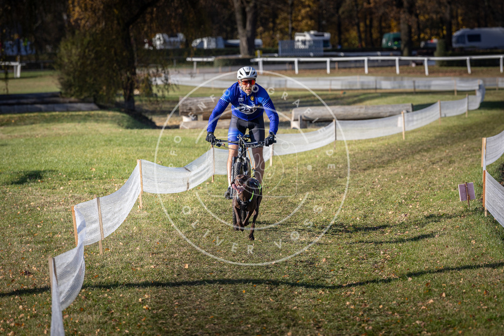 CaniXpix_DV3A3449 | Hundefotografie, Tierfotograf, Pfotenfotografie, Fotoshooting Hund, Hunde Portrait, Hundesport, Hundeportraits, Heideshooting, Hunde, Sportfotograf, Hundefotograf, Turnierhundsport, THS,  - Realisiert mit Pictrs.com