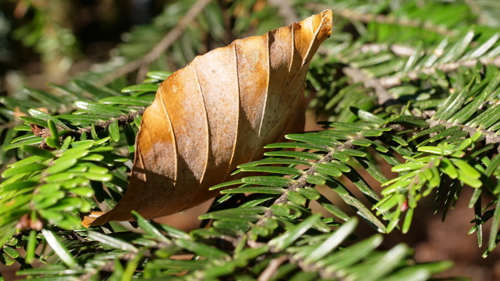 P1055163 | klausulrichmoeller