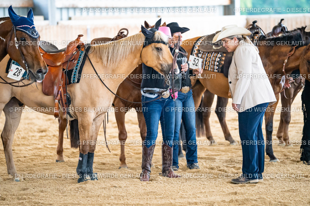 DSC09353 | Pferdegrafie