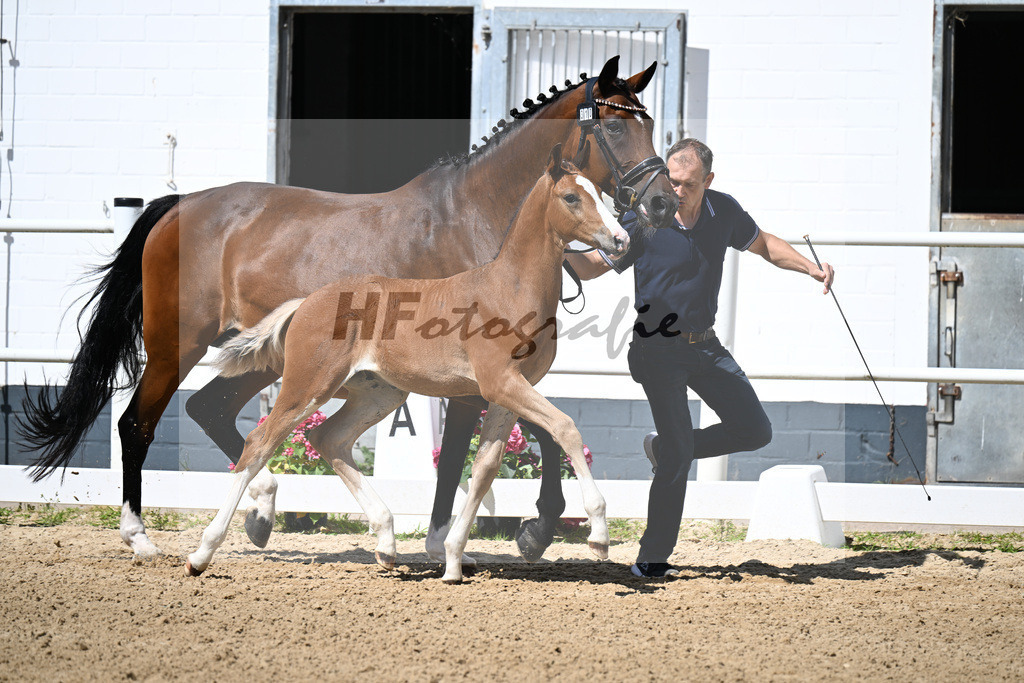 Kat-Nr. 310 Different Colour x Rock Forever I_HF_ZG Franz_20250628 | hf-fotografie - Realisiert mit Pictrs.com