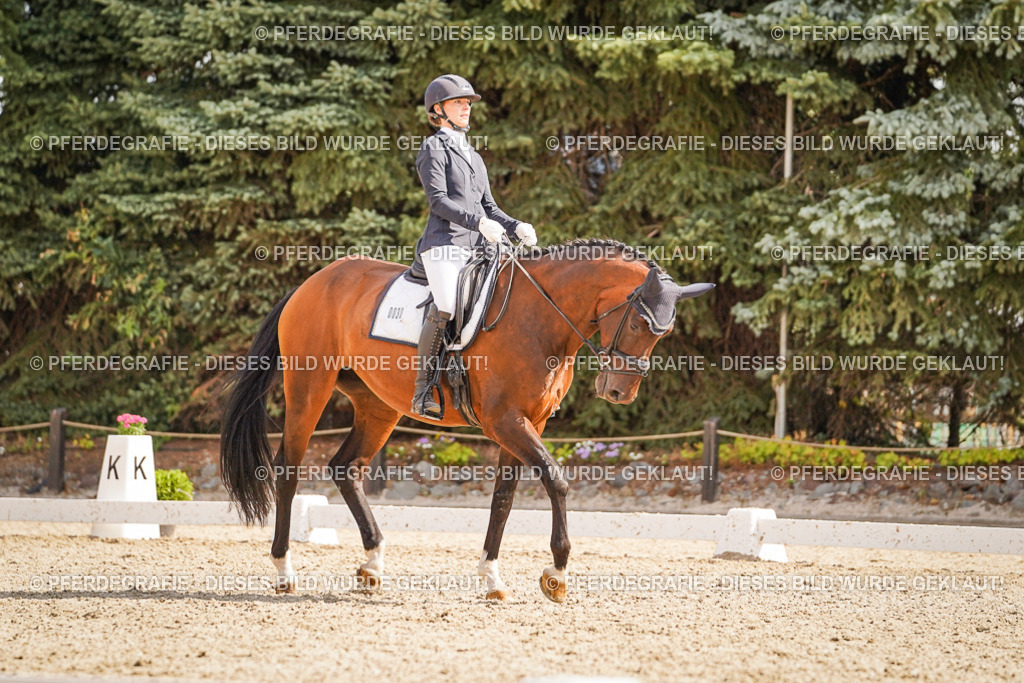 DSC01143 | Pferdegrafie