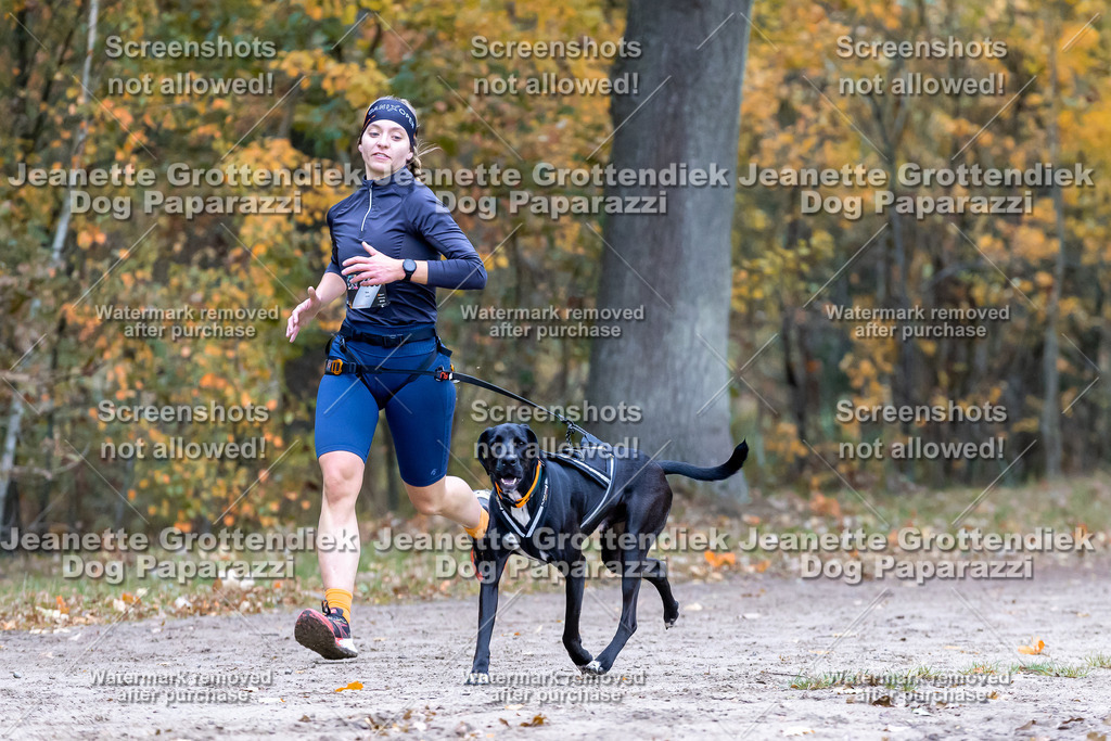 Dog Paparazzi - SD CaniX Championship 2025-447 | Dog Paparazzi Jeanette Grottendiek Fotografie & Videografie - Realisiert mit Pictrs.com