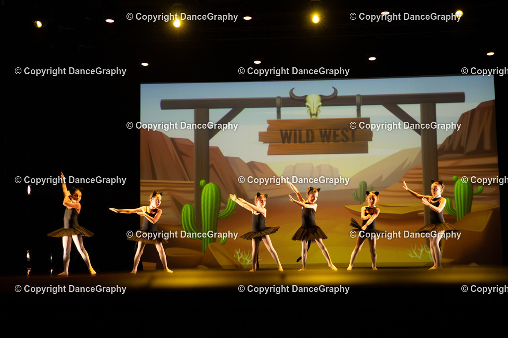 GPHY4243 | DanceGraphy - Realisiert mit Pictrs.com