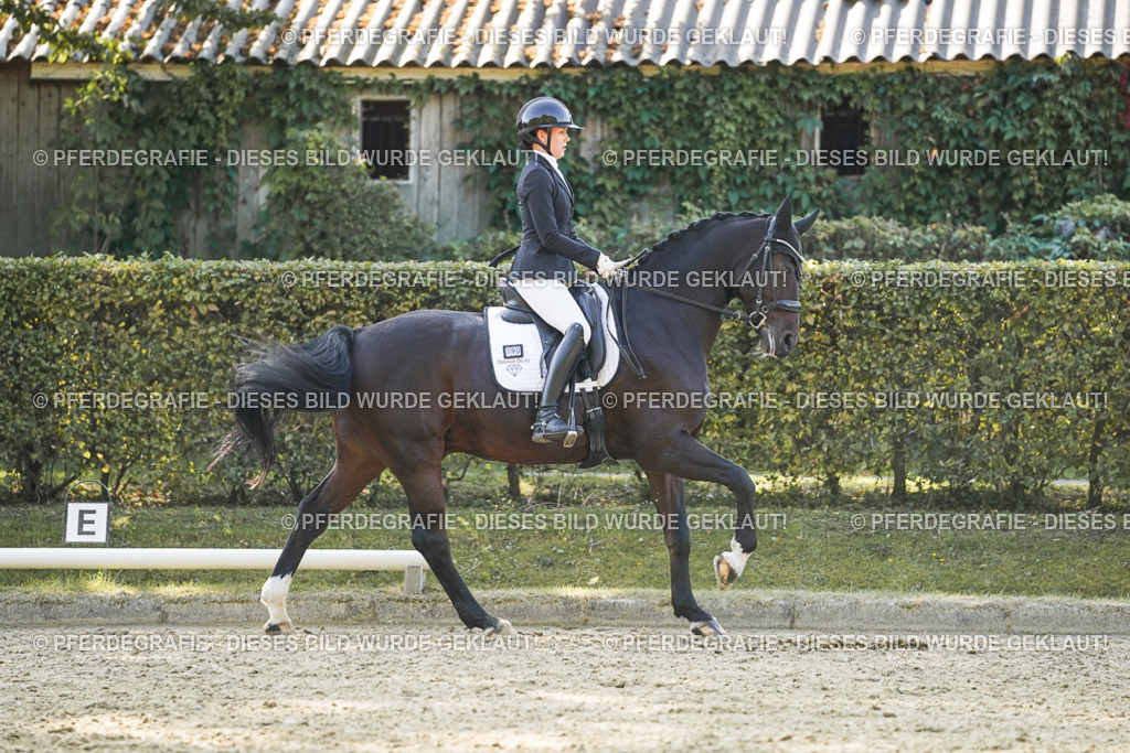 DSC06352 | Pferdegrafie