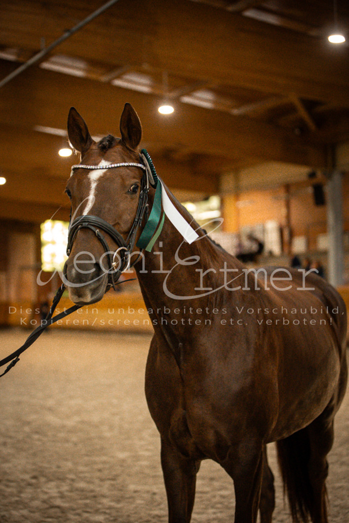 2Schritt00043 | Leoni Ertmer Photography - Realisiert mit Pictrs.com