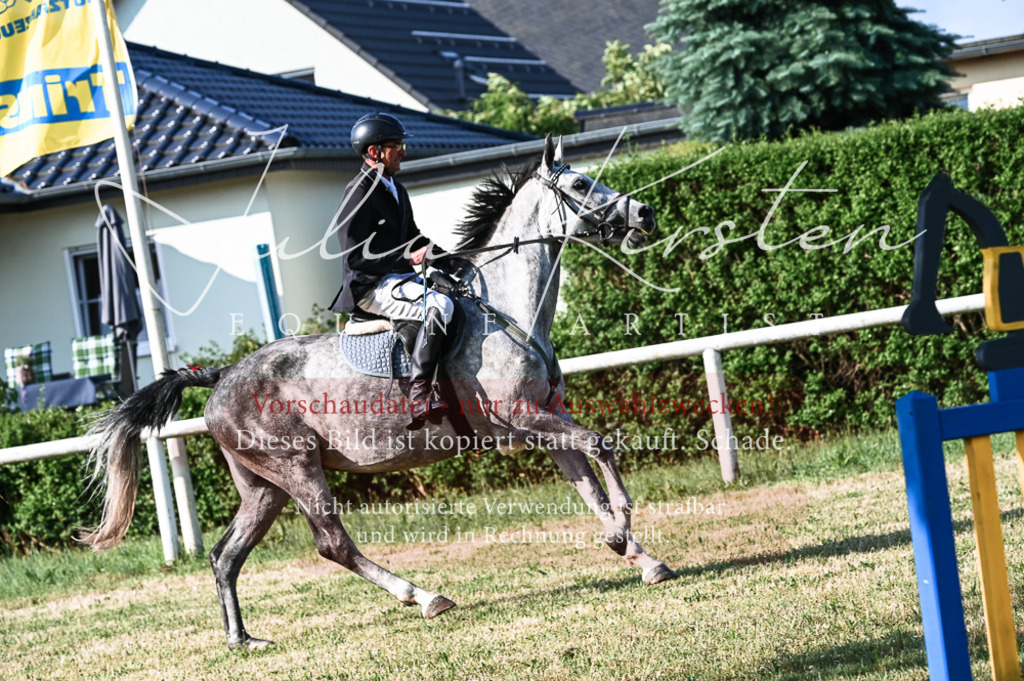 DSC_7509 | Pferde- und Turnierfotografie in Westsachsen. Pferdeportraits, Auftragszeichnungen und intuitive Kunst.