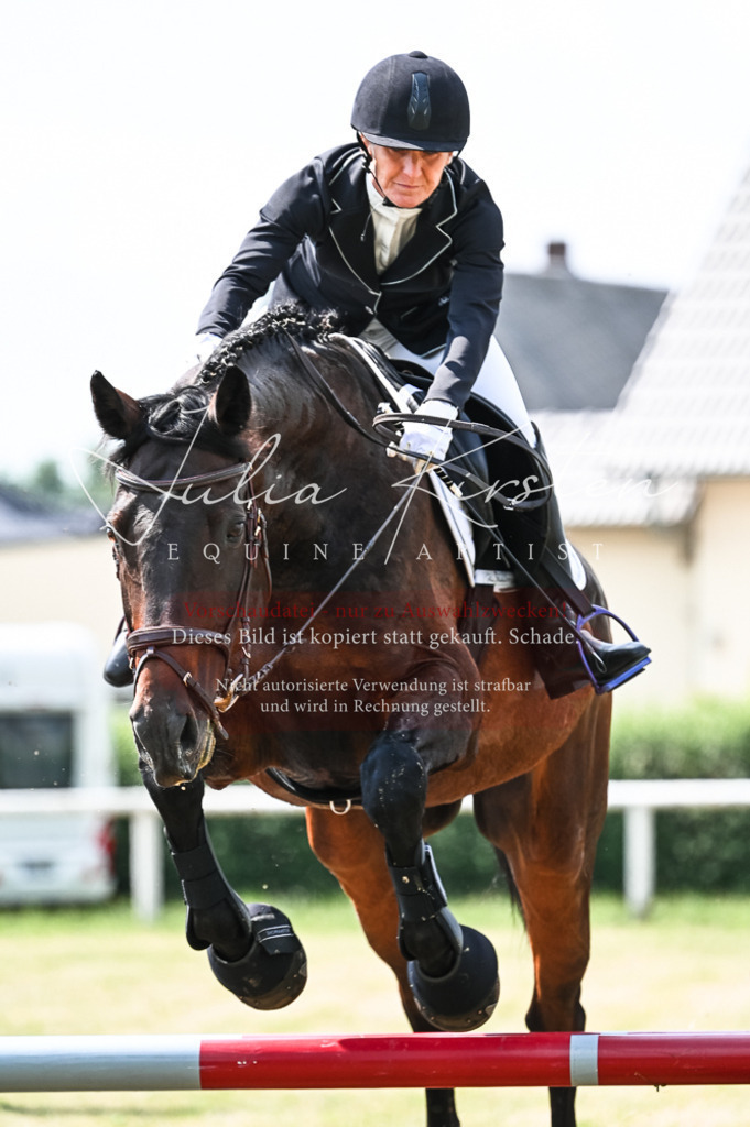 DSC_8882 | Pferde- und Turnierfotografie in Westsachsen. Pferdeportraits, Auftragszeichnungen und intuitive Kunst.