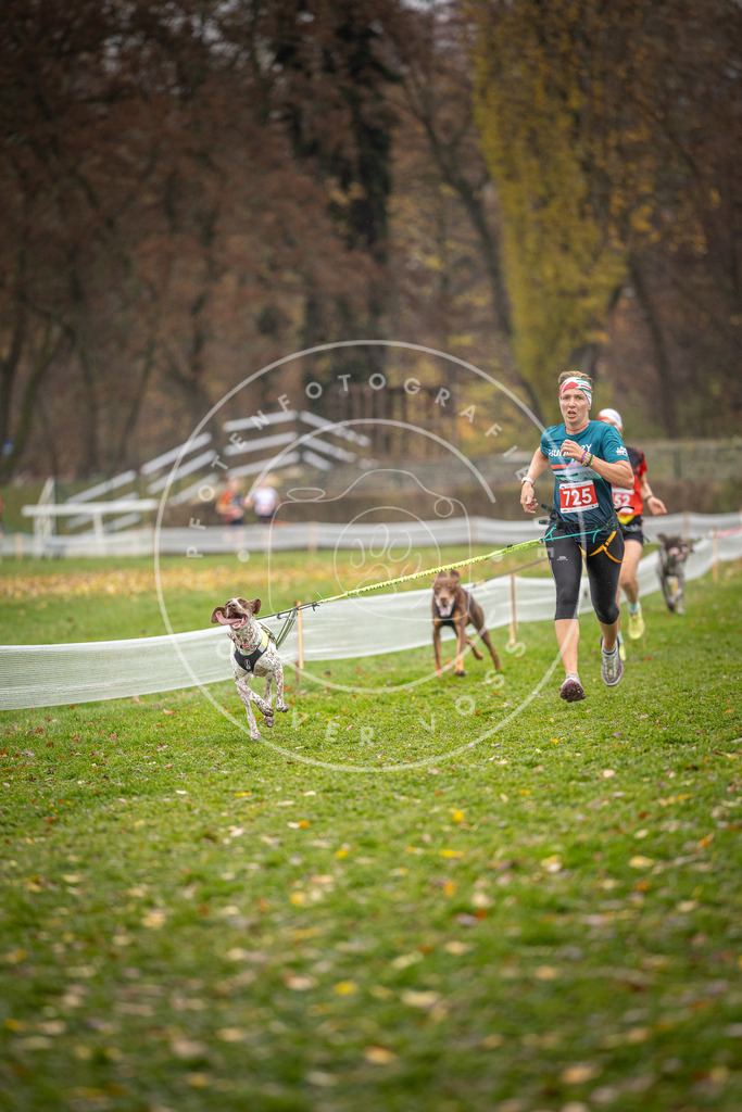 CaniXpix_DV3A9294 | Hundefotografie, Tierfotograf, Pfotenfotografie, Fotoshooting Hund, Hunde Portrait, Hundesport, Hundeportraits, Heideshooting, Hunde, Sportfotograf, Hundefotograf, Turnierhundsport, THS,  - Realisiert mit Pictrs.com