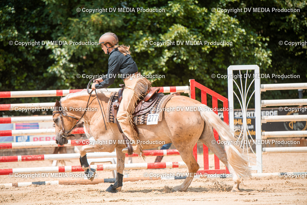 ZS2_8321 | dv-media-shop - Realisiert mit Pictrs.com