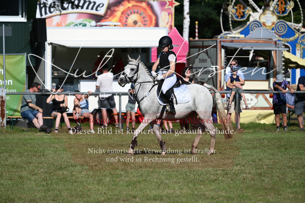 DSC_5257 | Pferde- und Turnierfotografie in Westsachsen. Pferdeportraits, Auftragszeichnungen und intuitive Kunst.