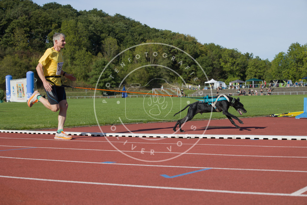 0L8A0002 | Hundefotografie, Tierfotograf, Pfotenfotografie, Fotoshooting Hund, Hunde Portrait, Hundesport, Hundeportraits, Heideshooting, Hunde, Sportfotograf, Hundefotograf, Turnierhundsport, THS,  - Realisiert mit Pictrs.com