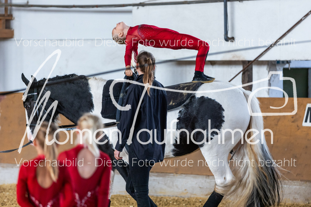 SS-Mini-210 | MomenTaufnahmen Pferdesportfotos