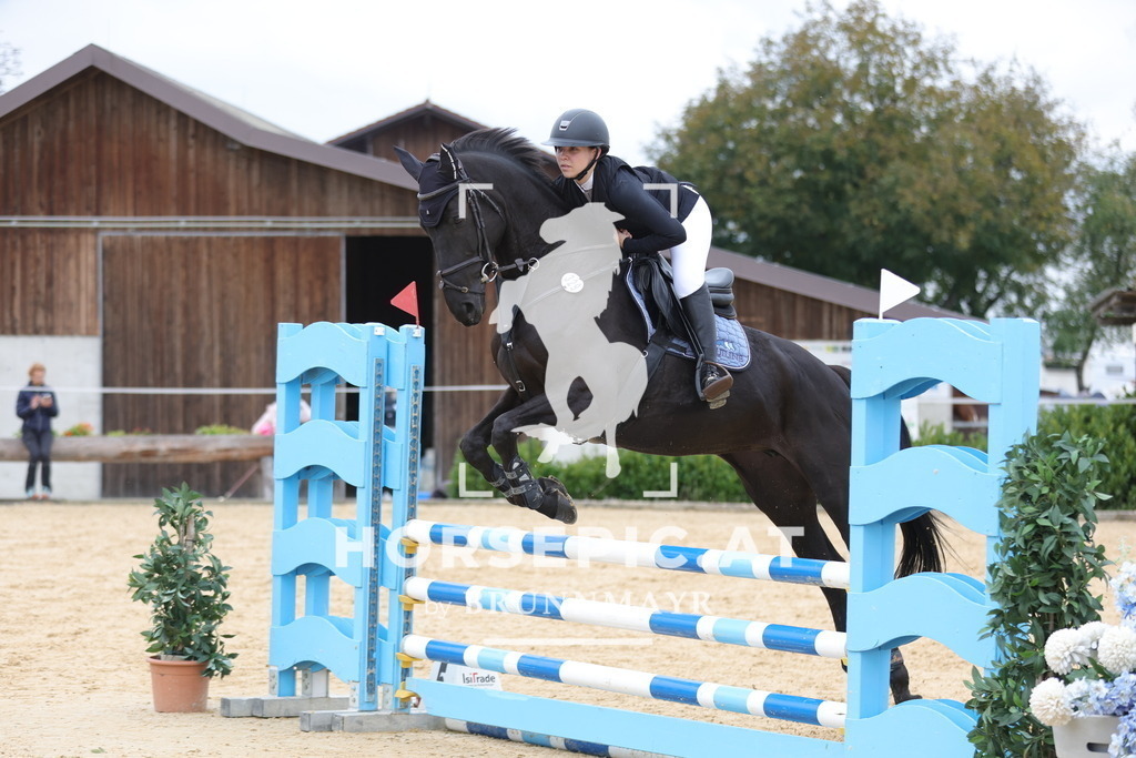 0P6A2871 | Willkommen bei Brunnmayr - Design & Fotografie – Ihrem Spezialisten für Reitturniere und Pferdeveranstaltungen in Oberösterreich, Salzburg und Bayern! Seit über 17 Jahren sind wir leidenschaftlich dabei.