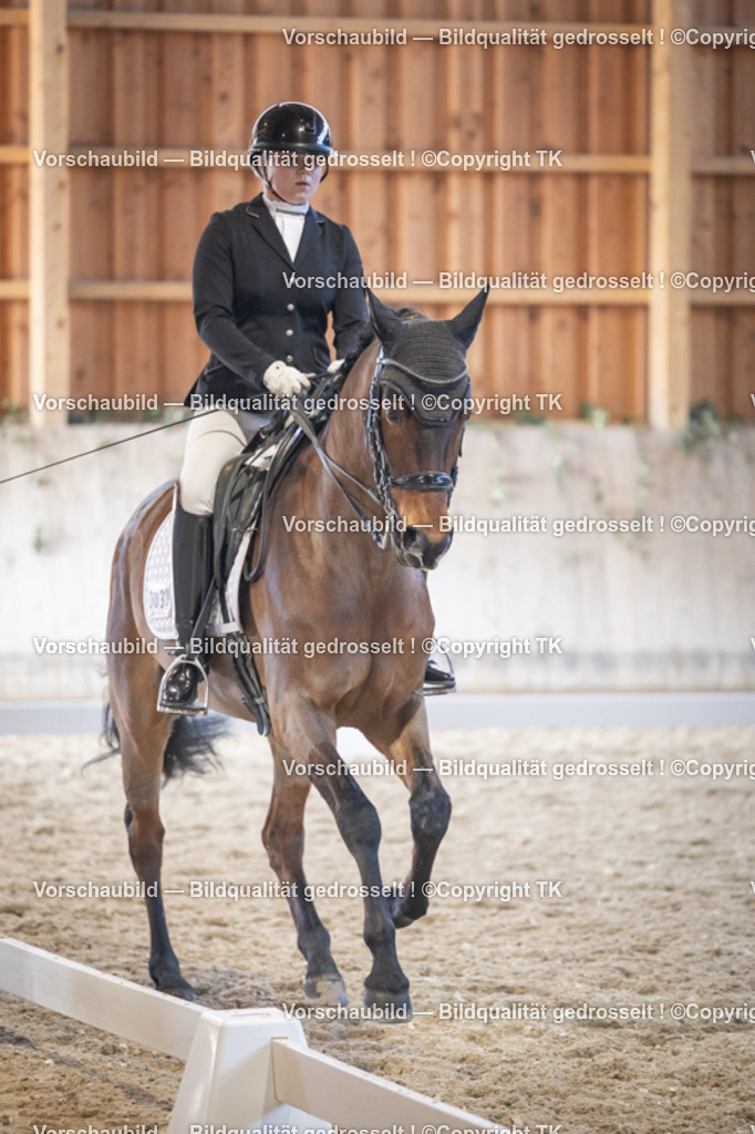 _D5A1742 | Emotionale Pferde- & People-Fotografie rund um Heidelberg, Leimen & Umgebung. Natürliche Fotos von Pferd, Mensch & Familie. Jetzt Termin sichern!