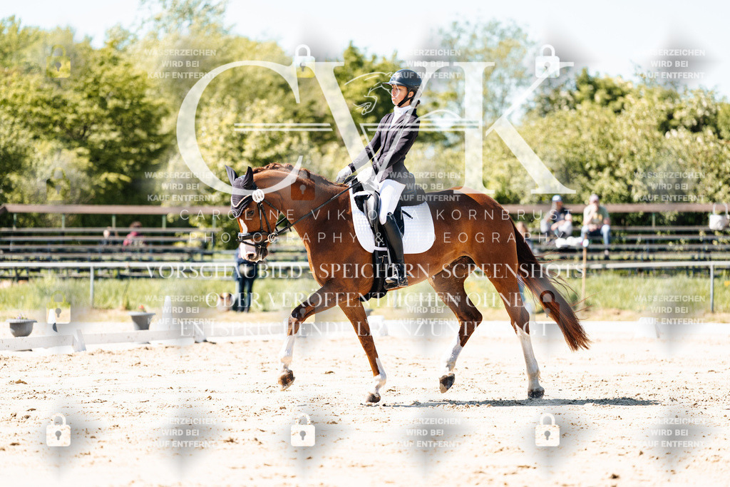 CK905278 | Turnierfotografie Pferdefotografie Trier Rheinland-Pfalz Pferdesport Reitsport Tierfotografie Sportfotografie Pferdevideo Pferdevideografie Equestrianvideography equestrianphotography  - Realisiert mit Pictrs.com