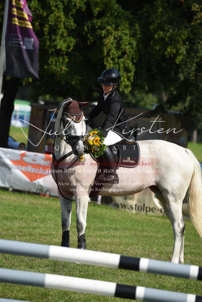 DSC_8963 | Pferde- und Turnierfotografie in Westsachsen. Pferdeportraits, Auftragszeichnungen und intuitive Kunst.