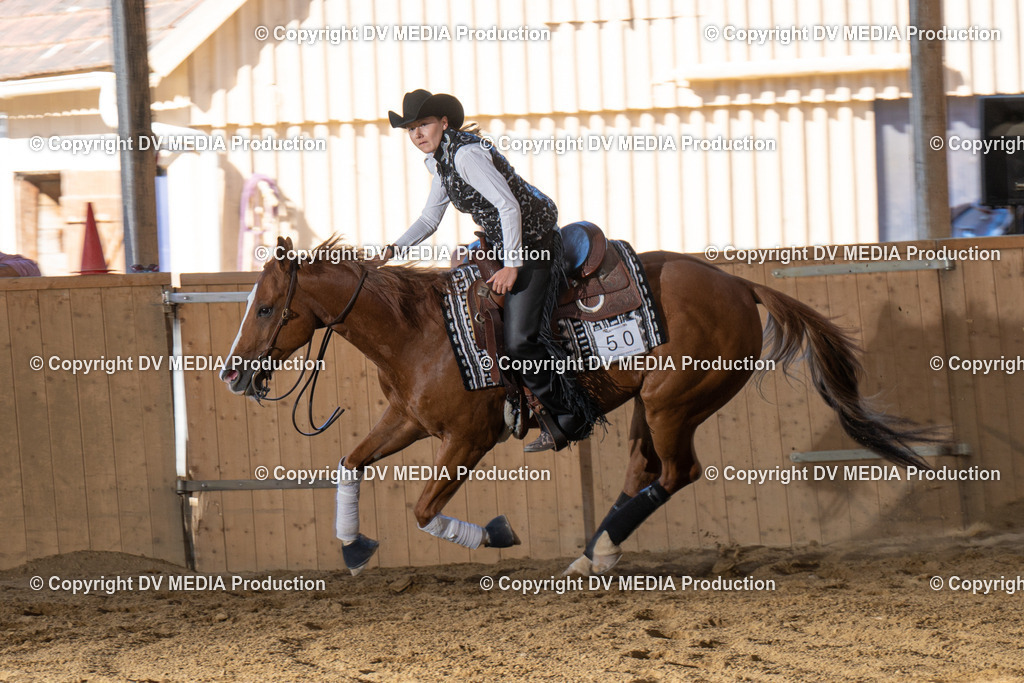 DSC00545 | dv-media-shop - Realisiert mit Pictrs.com