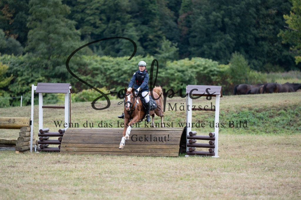 A7V00313 | Pferdefotograf