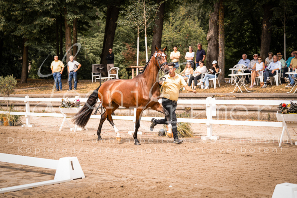 4.Fr00021 | Leoni Ertmer Photography - Realisiert mit Pictrs.com