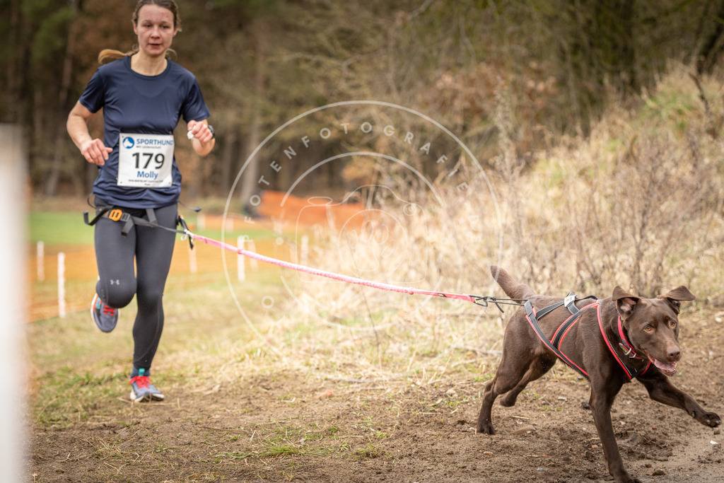 DV3A2490 | Hundefotografie, Tierfotograf, Pfotenfotografie, Fotoshooting Hund, Hunde Portrait, Hundesport, Hundeportraits, Heideshooting, Hunde, Sportfotograf, Hundefotograf, Turnierhundsport, THS,  - Realisiert mit Pictrs.com