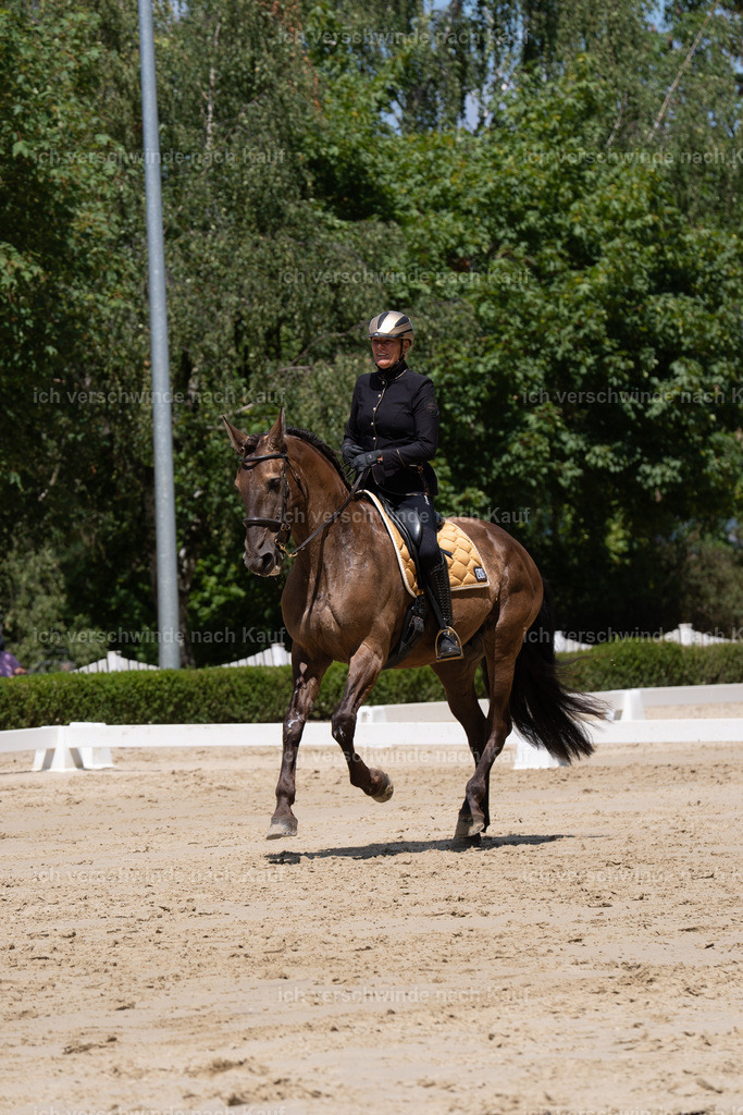 WS_DR_60_sinafilmart_IN02607 | working equitationturnier fotograf videograf stoibphotography marixx film working equitation deutschland reitsport turnierfotografie eventfotografie equestrian events
