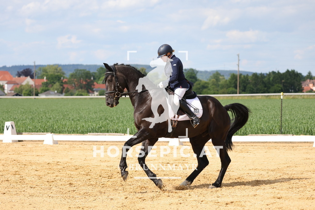0P6A9108 | Willkommen bei Brunnmayr - Design & Fotografie – Ihrem Spezialisten für Reitturniere und Pferdeveranstaltungen in Oberösterreich, Salzburg und Bayern! Seit über 17 Jahren sind wir leidenschaftlich dabei.