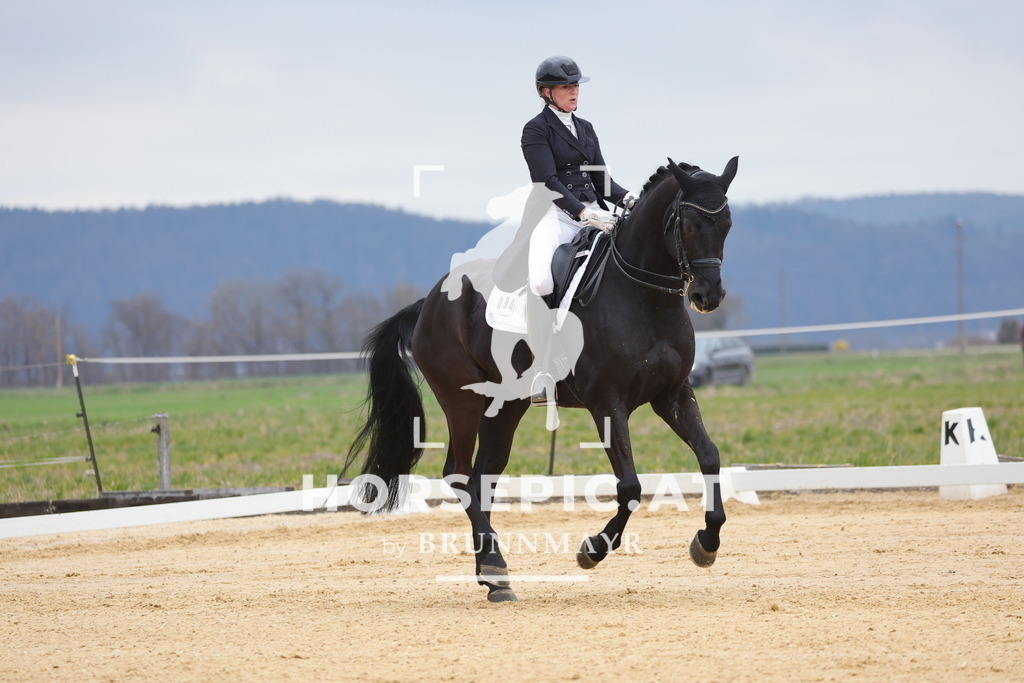 0P6A5397 | Willkommen bei Brunnmayr - Design & Fotografie – Ihrem Spezialisten für Reitturniere und Pferdeveranstaltungen in Oberösterreich, Salzburg und Bayern! Seit über 17 Jahren sind wir leidenschaftlich dabei.