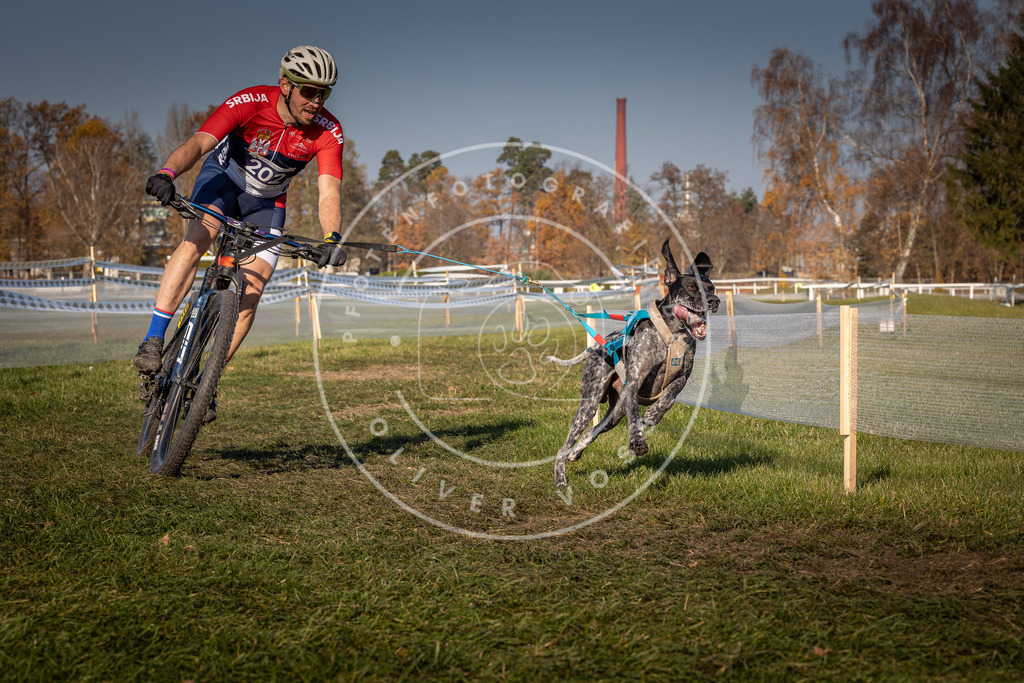 CaniXpix_0L8A6290 | Hundefotografie, Tierfotograf, Pfotenfotografie, Fotoshooting Hund, Hunde Portrait, Hundesport, Hundeportraits, Heideshooting, Hunde, Sportfotograf, Hundefotograf, Turnierhundsport, THS,  - Realisiert mit Pictrs.com