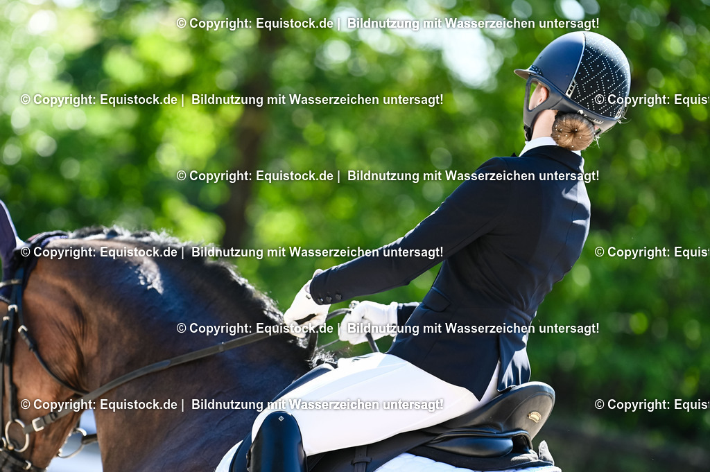 20230908_06_Dressur-L-Trense_0402 | equistock