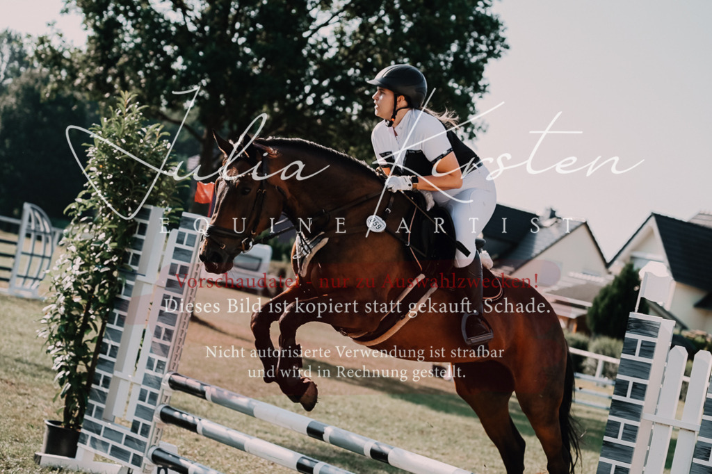 DSC_4601 | Pferde- und Turnierfotografie in Westsachsen. Pferdeportraits, Auftragszeichnungen und intuitive Kunst.
