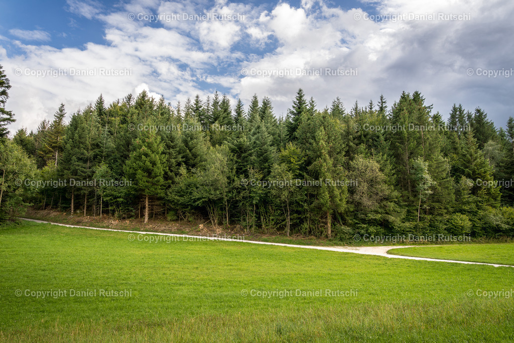 _DSC5391-Verbessert-RR | rutschi_photography - Realisiert mit Pictrs.com