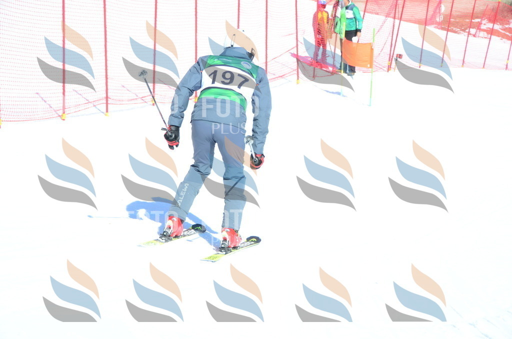 C6585 | holidayphoto