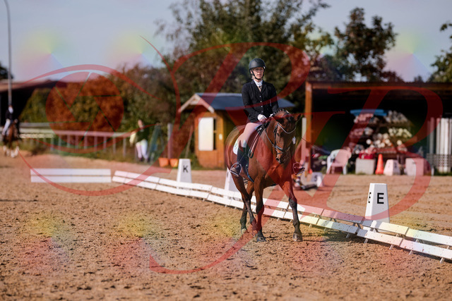2026_10_03_Siefer-Hof_130741_Z81_58618002 | Professionelle Reitsport-, Turnier- und Eventfotografie von Robert Broda. Galerien mit ausgewählten und bearbeiteten Bildern direkt online ansehen und bestellen.