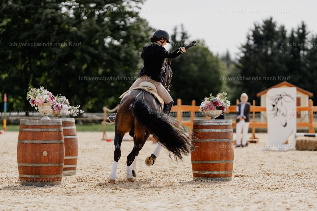 Virginie12FHC2025-01680 | working equitationturnier fotograf videograf stoibphotography marixx film working equitation deutschland reitsport turnierfotografie eventfotografie equestrian events
