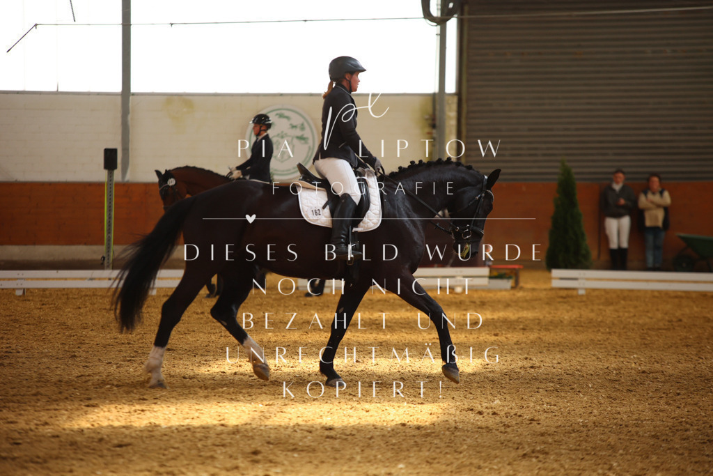 IMGT4299 | pl-fotografie