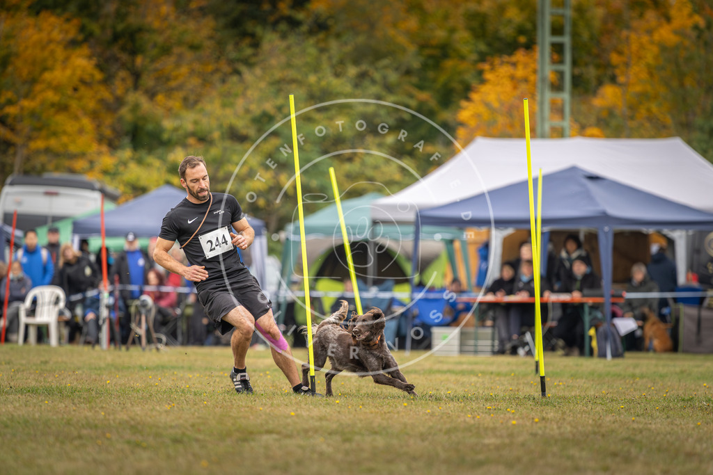 Pfotenfotografie_DV3A5550 | Hundefotografie, Tierfotograf, Pfotenfotografie, Fotoshooting Hund, Hunde Portrait, Hundesport, Hundeportraits, Heideshooting, Hunde, Sportfotograf, Hundefotograf, Turnierhundsport, THS,  - Realisiert mit Pictrs.com