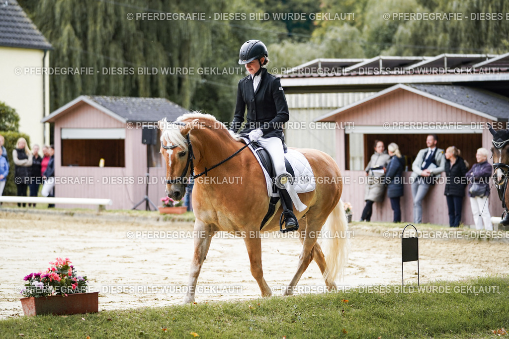 DSC05042 | Pferdegrafie