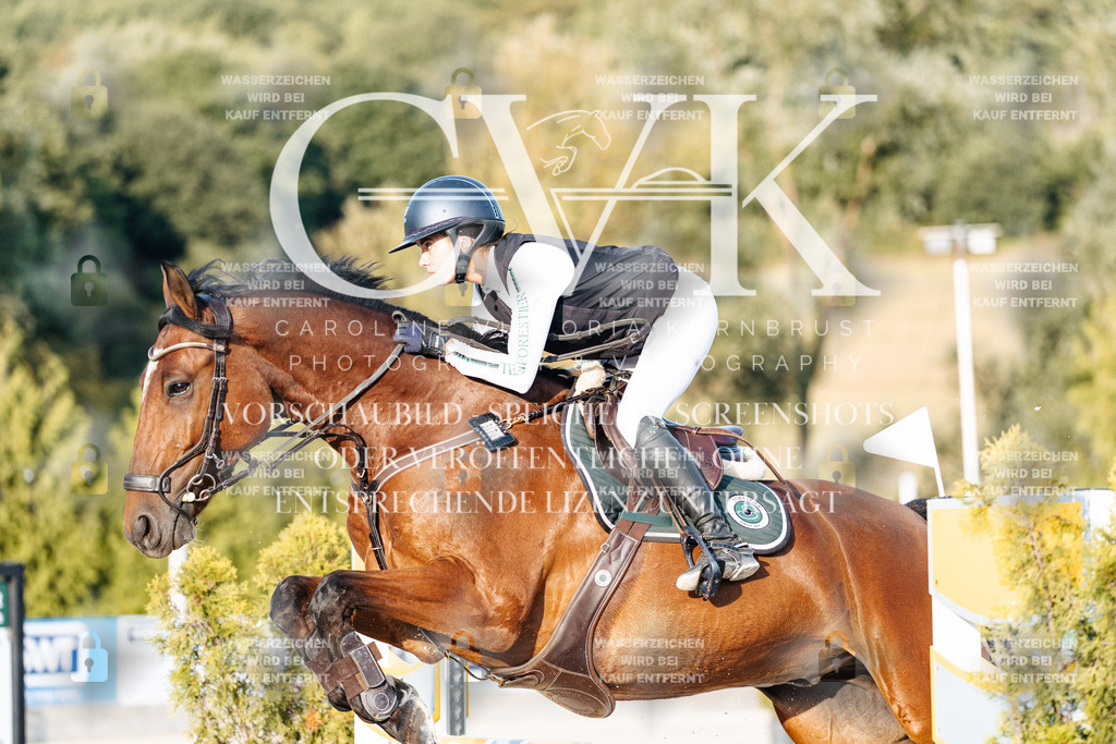 CK900765 | Turnierfotografie Pferdefotografie Trier Rheinland-Pfalz Pferdesport Reitsport Tierfotografie Sportfotografie Pferdevideo Pferdevideografie Equestrianvideography equestrianphotography  - Realisiert mit Pictrs.com
