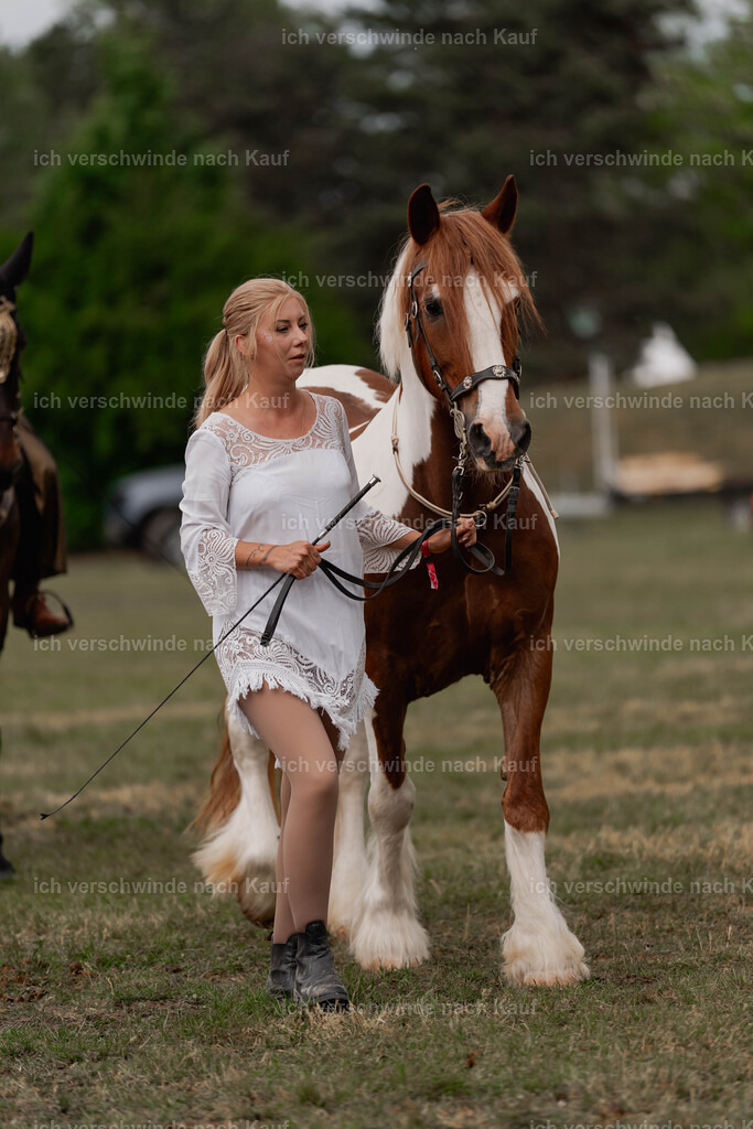 Showprogramm-435 | working equitationturnier fotograf videograf stoibphotography marixx film working equitation deutschland reitsport turnierfotografie eventfotografie equestrian events