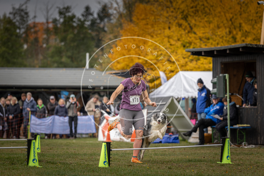 Pfotenfotografie_DV3A5609 | Hundefotografie, Tierfotograf, Pfotenfotografie, Fotoshooting Hund, Hunde Portrait, Hundesport, Hundeportraits, Heideshooting, Hunde, Sportfotograf, Hundefotograf, Turnierhundsport, THS,  - Realisiert mit Pictrs.com