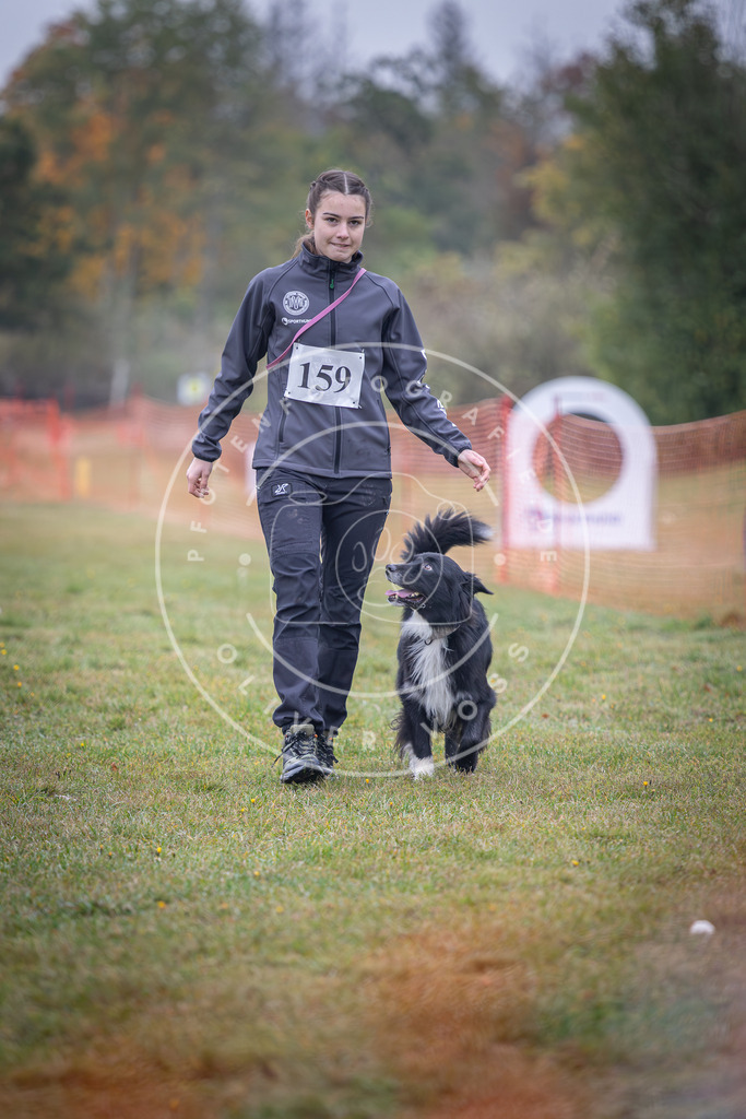 Pfotenfotografie_DV3A8741 | Hundefotografie, Tierfotograf, Pfotenfotografie, Fotoshooting Hund, Hunde Portrait, Hundesport, Hundeportraits, Heideshooting, Hunde, Sportfotograf, Hundefotograf, Turnierhundsport, THS,  - Realisiert mit Pictrs.com