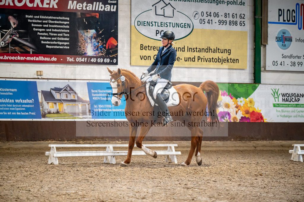 Hallenreittunier Voxtrup 2023 | Entdecke hochwertige Reitturnierfotos von Foto Oger. Professionell, emotional und authentisch – jetzt Lieblingsmomente im Shop bestellen.Deutschlandweite Turnierfotografie. - Realisiert mit Pictrs.com