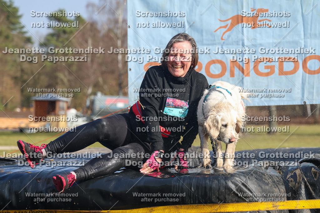 Dog Paparazzi - Strongdog North Mrz26-2839 | Dog Paparazzi Jeanette Grottendiek Fotografie & Videografie - Realisiert mit Pictrs.com
