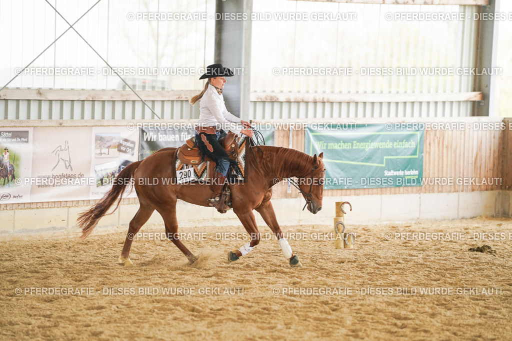 DSC06083 | Pferdegrafie