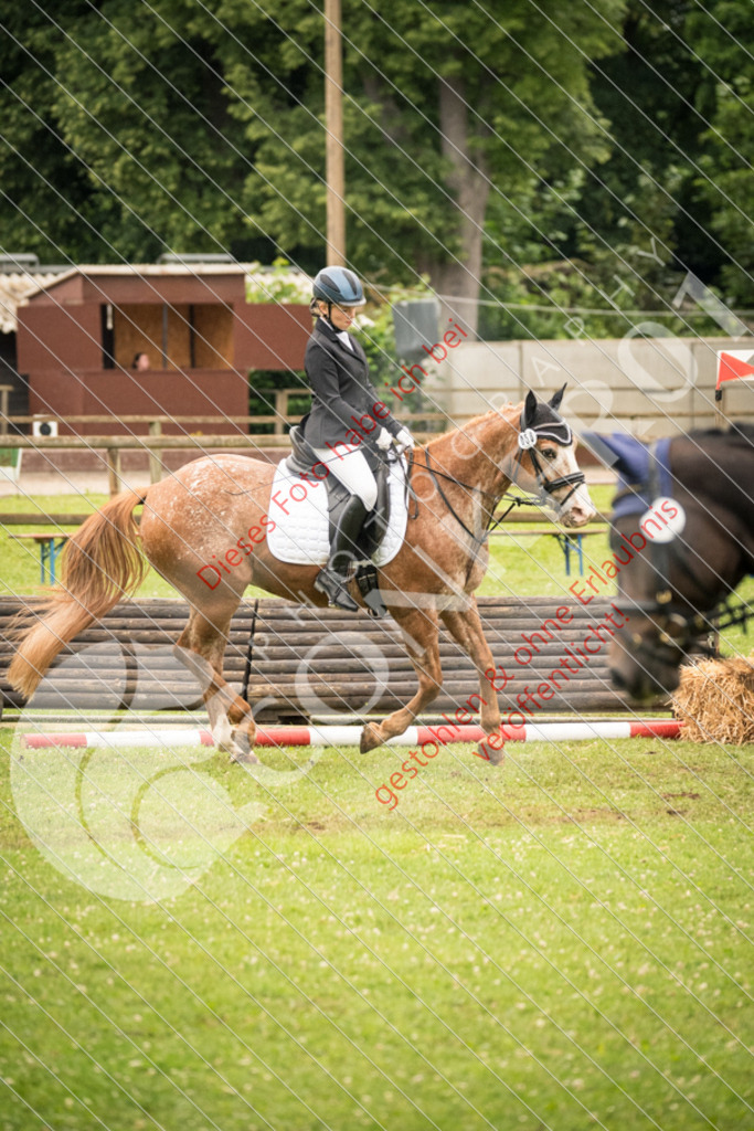 DSC_4788 | Sport-, Event- und Tierfotos in Profiqualität. Einfach auswählen, bestellen und herunterladen. Dein Moment – perfekt festgehalten.